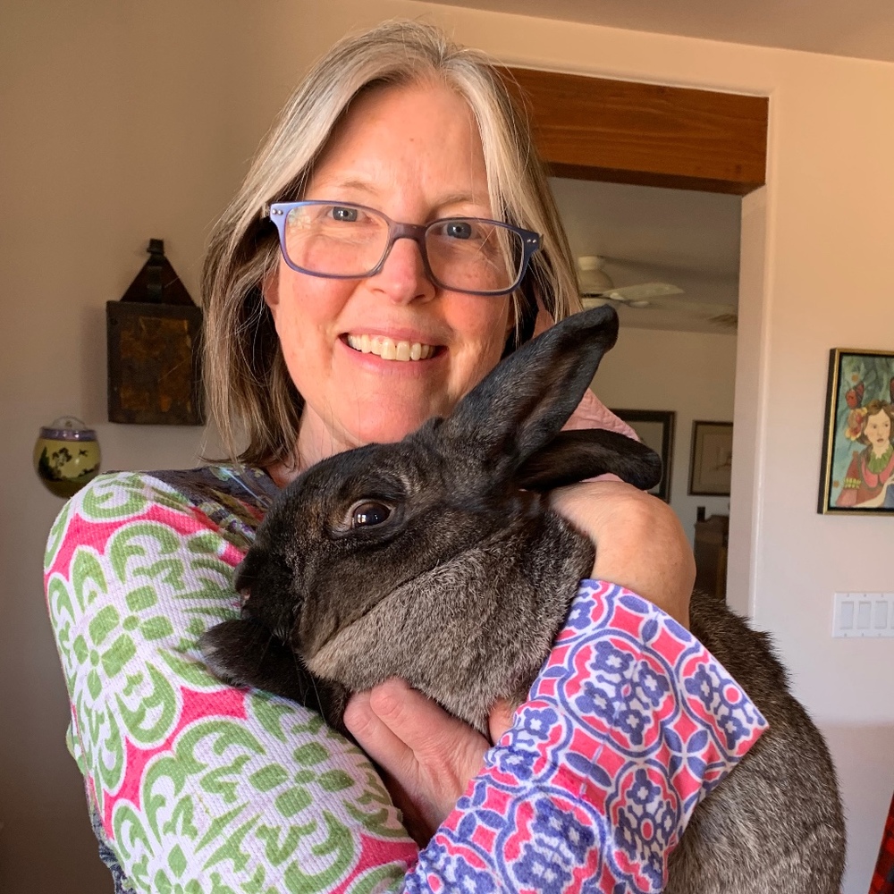 Meet your Posher, Palin
